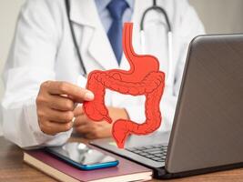 Treatment and prevention of constipation and diarrhea. Close-up of hand doctor holding a large intestine symbol made from paper while sitting at the table photo