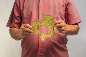 Hands senior man holding a large intestine symbol while standing on a gray background photo