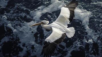Lone Pelican Soaring Gracefully Above the Ocean Waves photo