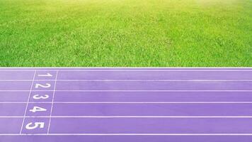 The running track in the purple stadium is empty. photo
