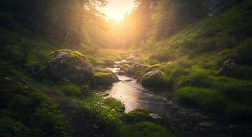 Serene Forest Stream Illuminated by Sunlight - Generated using AI photo