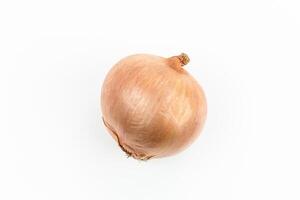 onion isolated on white background with copy space for your text. photo