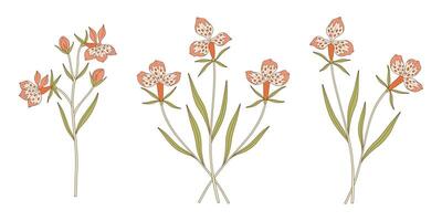 Set of bright exotic flower bouquets. Bunches of blooming pink wildflowers, perennial wild plants. Botanical handdrawn elements for design projects vector