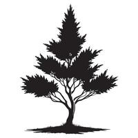 Detailed Pine Tree Silhouette Art for Graphic Design Projects vector