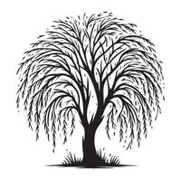 Elegant Weeping Willow Tree Silhouette Illustration for Artistic Compositions vector