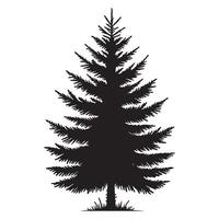 Simple Silhouette Evergreen Tree Illustration Design Element vector