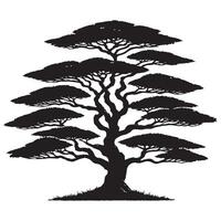 Magnificent Umbrella Thorn Acacia Tree Silhouette Illustration for Design Projects vector