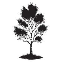 Detailed Birch Tree Silhouette Illustration for Graphic Design vector