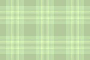 Subtle plaid pattern in soft green hues. Perfect for backgrounds, textiles, or adding a touch of understated elegance to your designs. Serene, calm, and versatile. vector