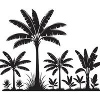 Banana Palm Tree Silhouette Set for Exotic Design vector