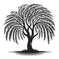 Majestic Weeping Willow Tree Silhouette Art for Design Projects vector