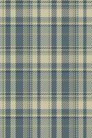 Subtle neutral plaid pattern. Elegant texture with muted beige and blue tones. Perfect for textile design, fashion, or website backgrounds. Evokes feelings of warmth, comfort, and sophistication. vector