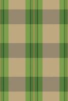 Elegant green and beige plaid pattern. Perfect for textile design, apparel, or website backgrounds. This classic pattern evokes feelings of warmth, comfort, and tradition. vector