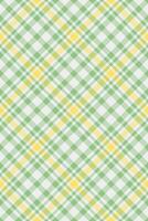 Classic pattern texture textile, hobby fabric seamless check. Costume plaid background tartan in white and green colors. vector
