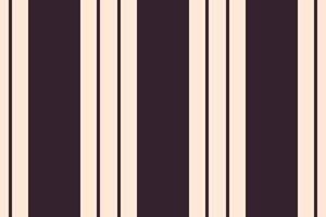 Snterior pattern fabric, indian background stripe seamless. Croduct vertical textile texture lines in antique white and dark colors. vector