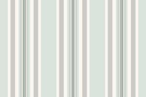 Serene fabric pattern stripe, front background vertical textile. Aztec texture seamless lines in white and sea shell colors. vector