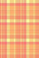 Funky texture background, show pattern check plaid. Lumberjack fabric seamless tartan textile in orange and lime colors. vector
