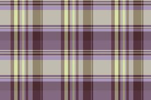 Elegant plaid pattern. Subtle hues create a sophisticated, calming effect. Ideal background for fashion, textile design, or cozy interiors. vector