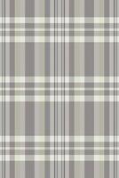 Elegant neutral plaid pattern. Perfect for textile design, website backgrounds, or crafting projects. Subtle color palette evokes calm and sophistication. Versatile image for various applications. vector