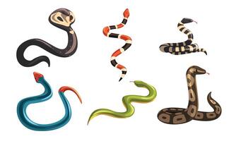 Collection of Snakes, Poisonous and Non Toxic Snake Creatures of Different Colors Illustration vector