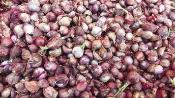 Pile of Freshly Harvested Red Onions Displayed at a Farmer's Market photo