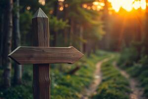 Rustic wooden signpost points the way through a sunlit forest trail, symbolizing choice, journey, and the beauty of nature at sunset. photo