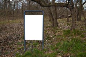 Empty Billboard in a Forest with Blank Space for Advertisement. Park indications and regulations. photo