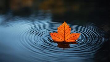 A single orange leaf floating in the water photo