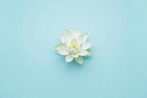 Lotus flower on blue background photo