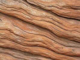 Organic Driftwood Texture with Deep Grooves and Waves photo