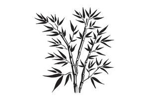 Bamboo tree on white, sketch. vector
