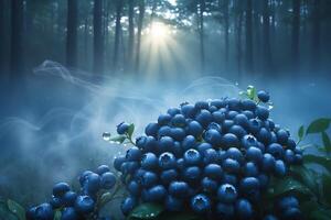 Fresh Blueberries in Misty Forest Setting with Sunlight Shining Through Trees photo