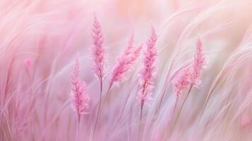 Delicate pink wildflowers in a serene meadow with soft dreamy lighting photo
