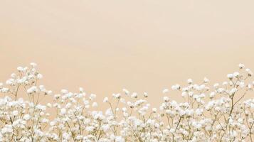 Delicate white flowers on soft beige background photo