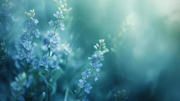 Serene blooming blue flowers in soft focus greenery photo