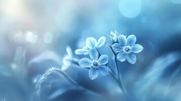 Tranquil blue flowers with dew in soft focus nature scene photo