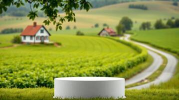White round table on the green field with a house in the background photo