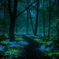 A forest with glowing green lights in the trees photo
