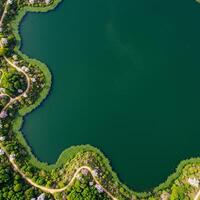 An aerial view of a lake surrounded by trees photo