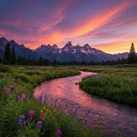 A river runs through a field of wildflowers at sunset photo