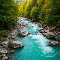 A river flowing through a forest with rocks and trees photo