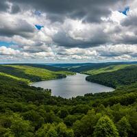 A lake surrounded by trees and forest under a cloudy sky photo