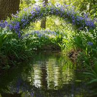 A bridge over a stream photo