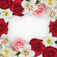 Red roses and white lilies arranged in a square frame photo