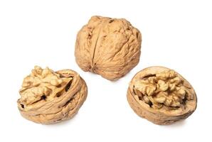 Whole walnut and cracked in shell walnut isolated on white background photo