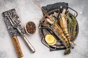 Plump raw giant river prawns shrimps, ideal for sushi, grilling, or adding a touch of luxury to any meal. white background. top view photo
