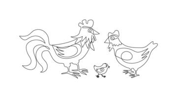 Rooster, hen and chicken line art drawing. Set of poultry, family. Animals and birds on the farm. Graphic design modern continuous line drawing vector