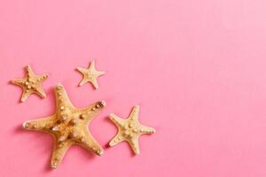 lot seashells and many starfish on pink background photo