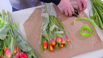 Crafting a vibrant tulip bouquet with green ribbon and scissors on white table video