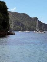 Sailboats in Bay Beside Lush Green Cliffs Caribbean Sea 10. 28, 2023 photo
